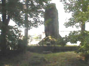 hatiman-14.jpg (8422 バイト)