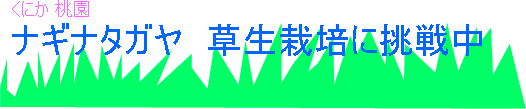 iMi^K͔|ɒ